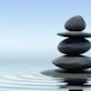 Meet your Posher, Fraidy